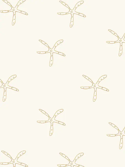 ntrl co. - The Island Set | Starfish Tide Tan