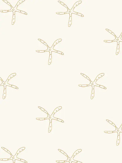 ntrl co. - The Island Set | Starfish Tide Tan